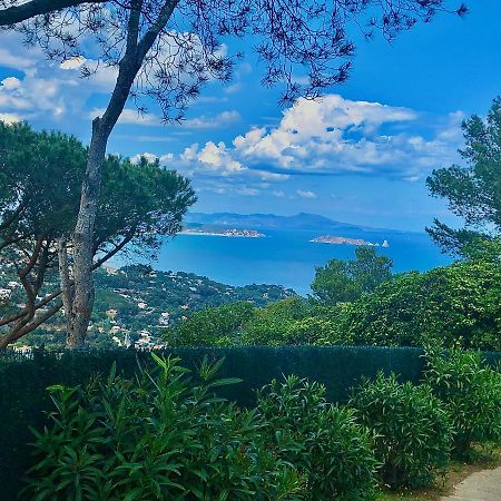Charming & Peaceful Apartment Begur With Swimming Pool Exterior photo